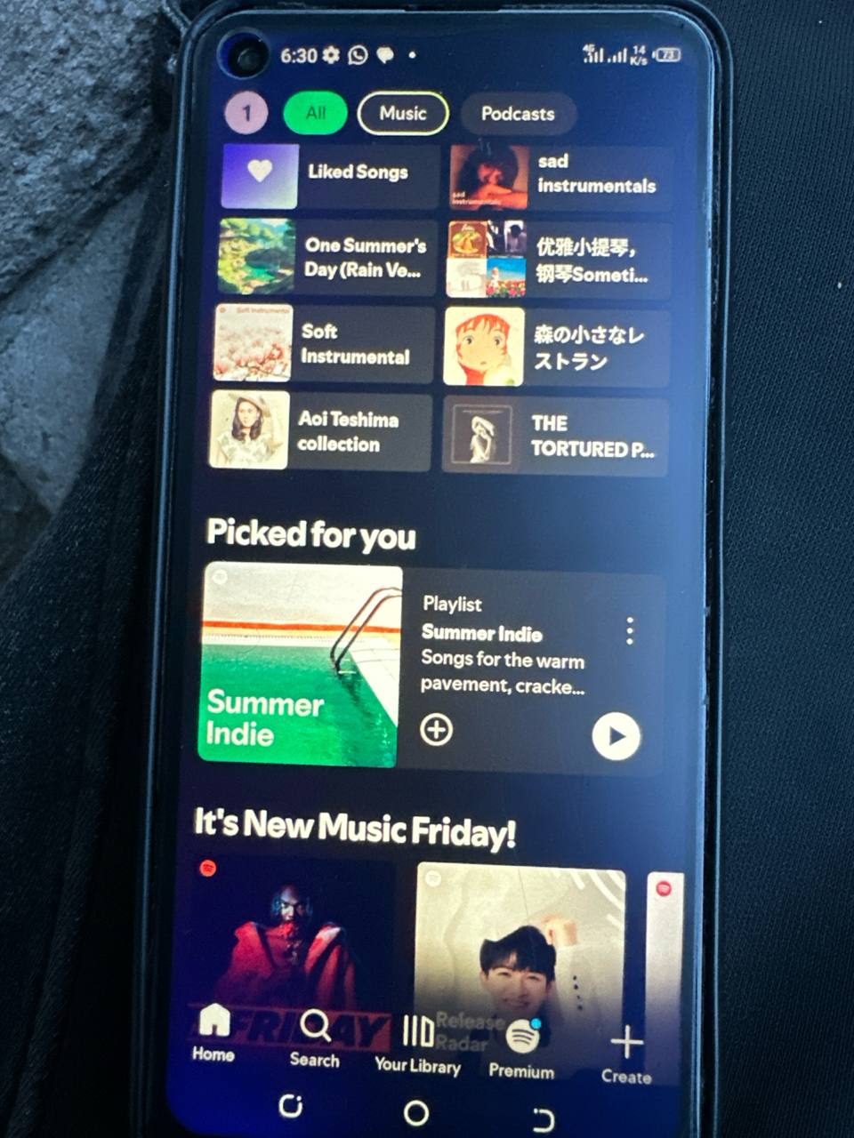 尼日尼亚区spotify个人年付又续费了,一年13000奈拉,独立账号,不是家庭号不会翻车