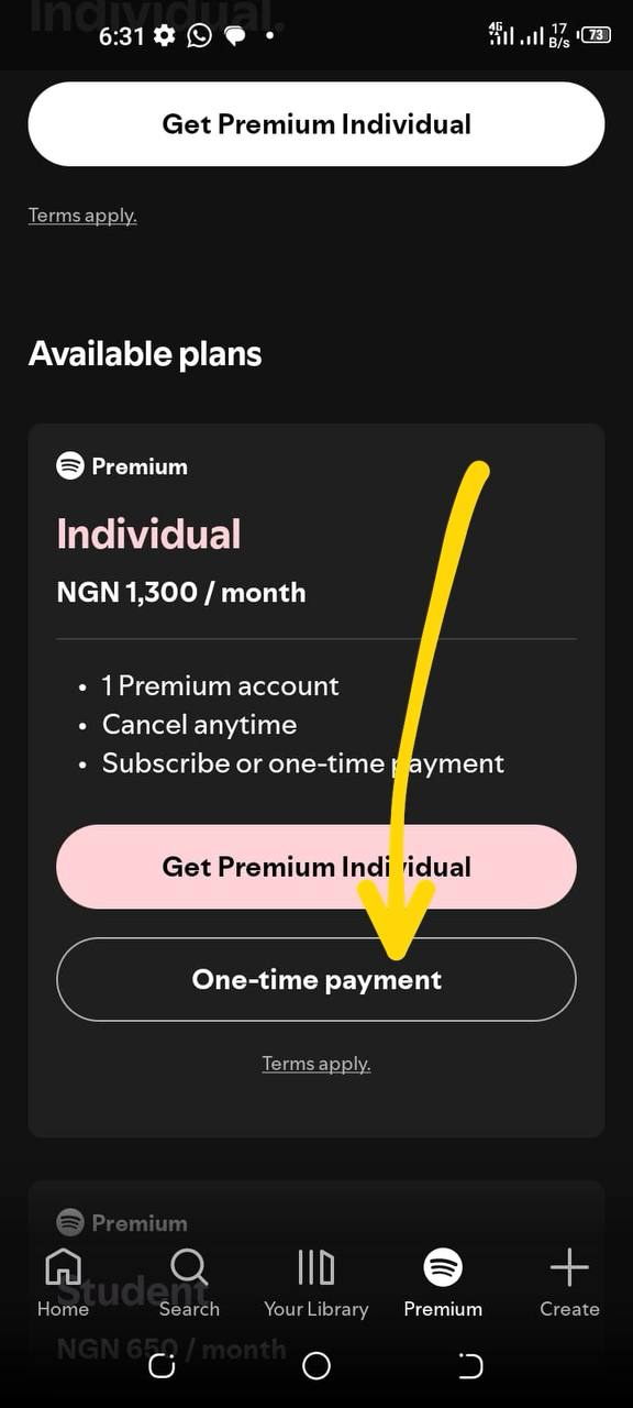 尼日尼亚区spotify个人年付又续费了,一年13000奈拉,独立账号,不是家庭号不会翻车
