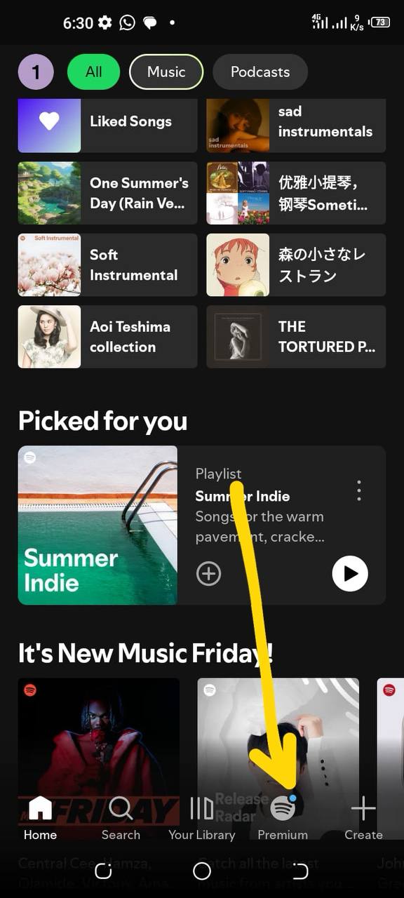 尼日尼亚区spotify个人年付又续费了,一年13000奈拉,独立账号,不是家庭号不会翻车